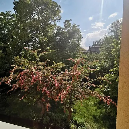 Apartament Mickiewicza * 华沙